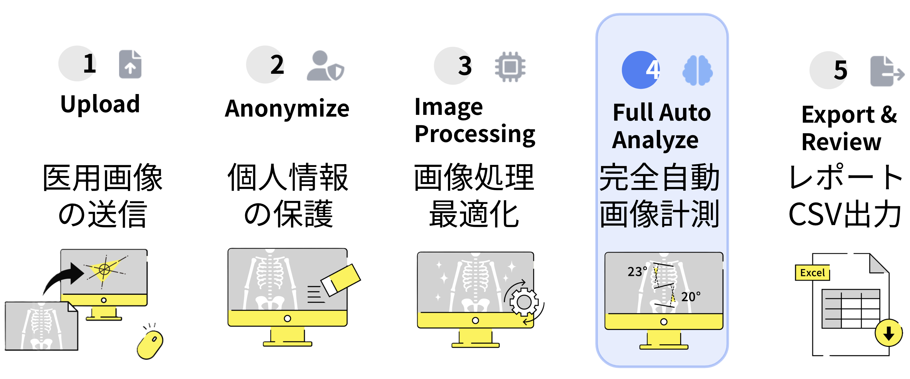 AI自動計測の5ステップ: Upload → Anonymize → Image Processing → Full Auto Analyze → Export & Review
